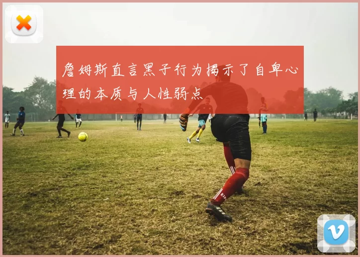 詹姆斯直言黑子行为揭示了自卑心理的本质与人性弱点